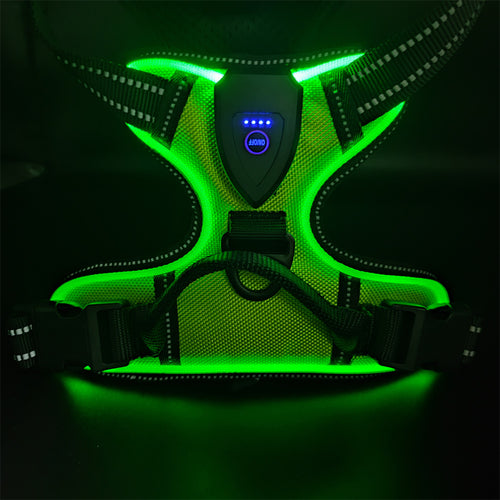 LED Light-Up Dog Harness – Rechargeable Reflective Nylon Harness